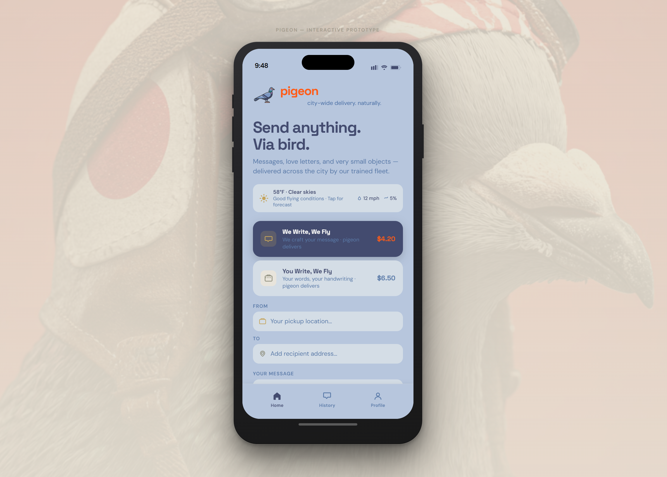 Pigeon app prototype
